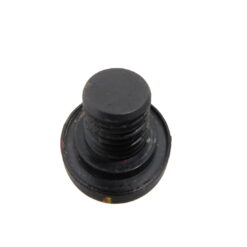 Tornillo (tapon) Radiador Passat/polo/vento *Original