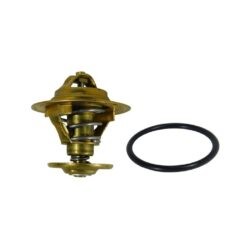 Termostato con Liga Transporter/Sharan 1.9 54mm